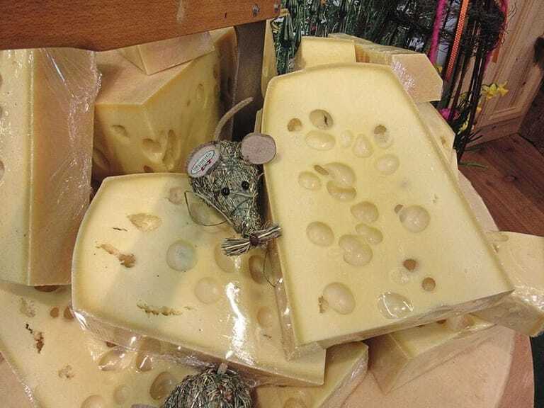 Thekenfrage Welchen Käse dürfen Vegetarier essen? Die Fleischerei