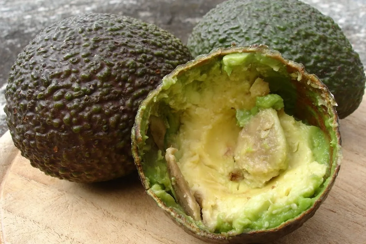 Trend-Phänomen Superfoods