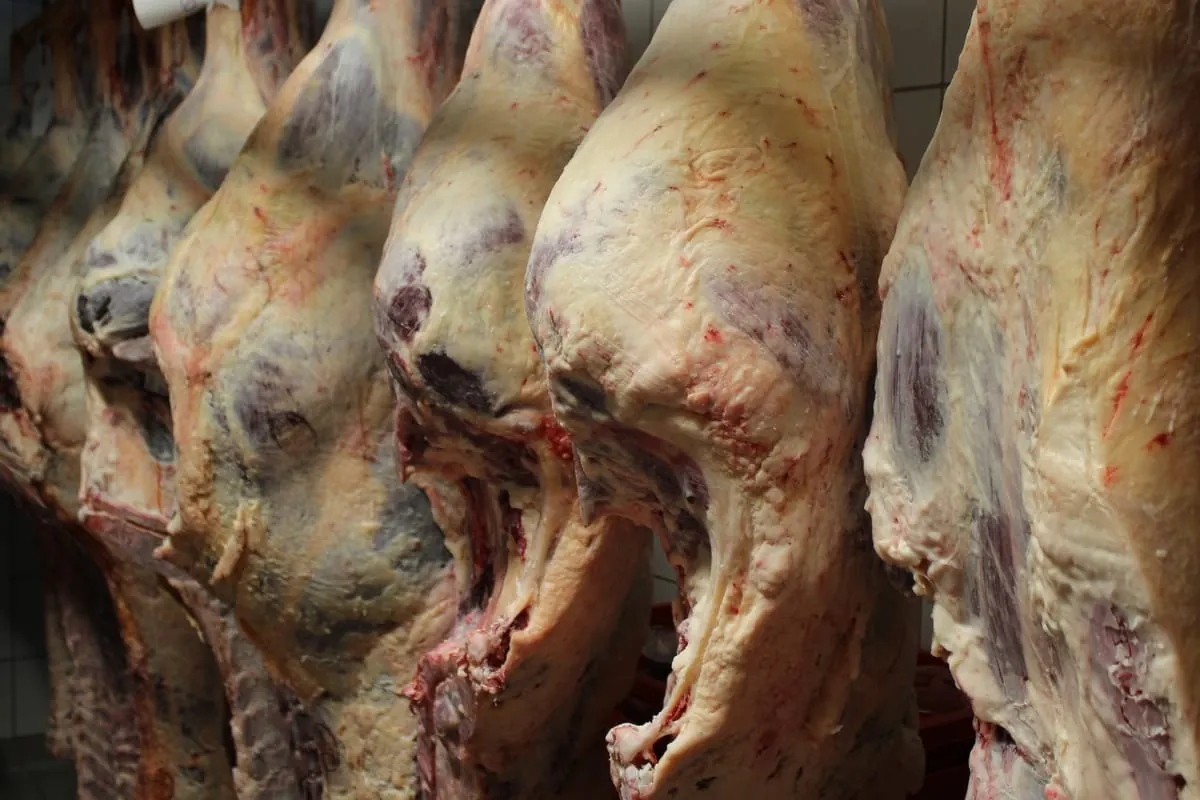 Erzeugerpreise für Rinder und Schweine deutlich gestiegen