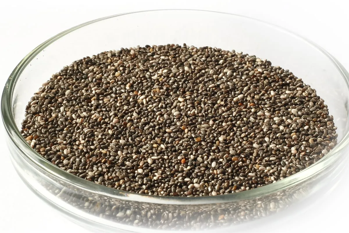 Exotisches Superfood unter der Lupe