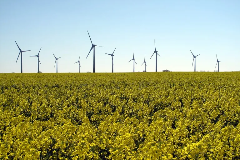 Studie zur Erreichbarkeit der Klimaziele