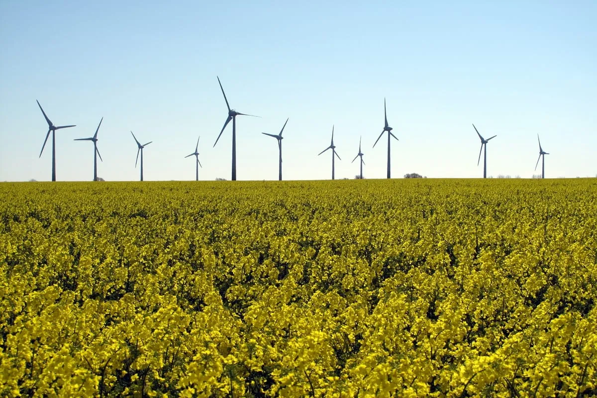 Studie zur Erreichbarkeit der Klimaziele