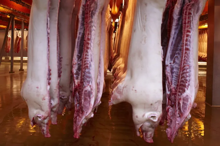 Erzeugerpreise im August 2022