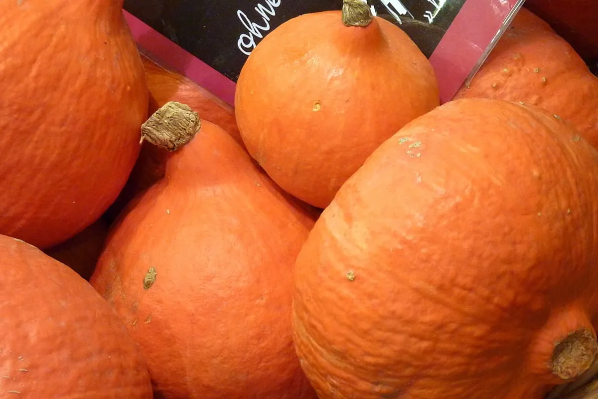 Kürbis schmeckt auch süß