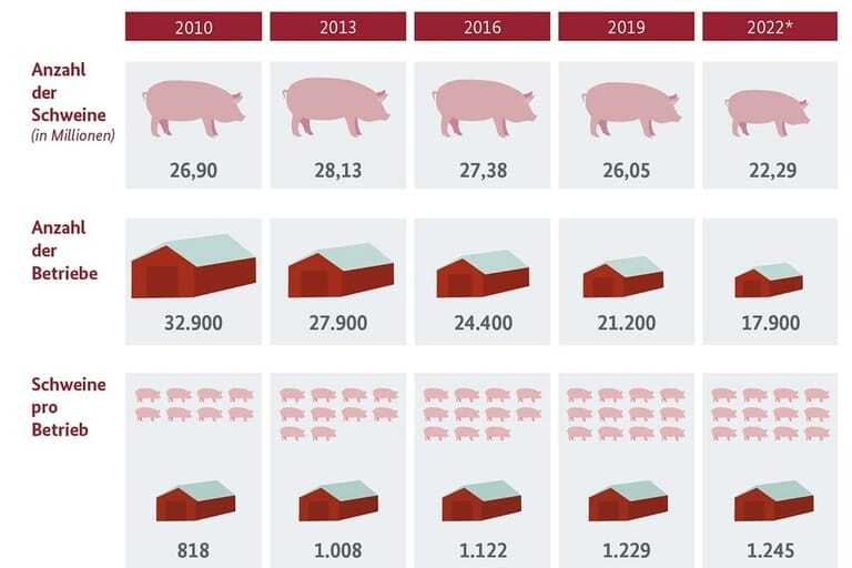 Entwicklung der Schweinehaltung