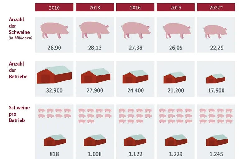 Entwicklung der Schweinehaltung
