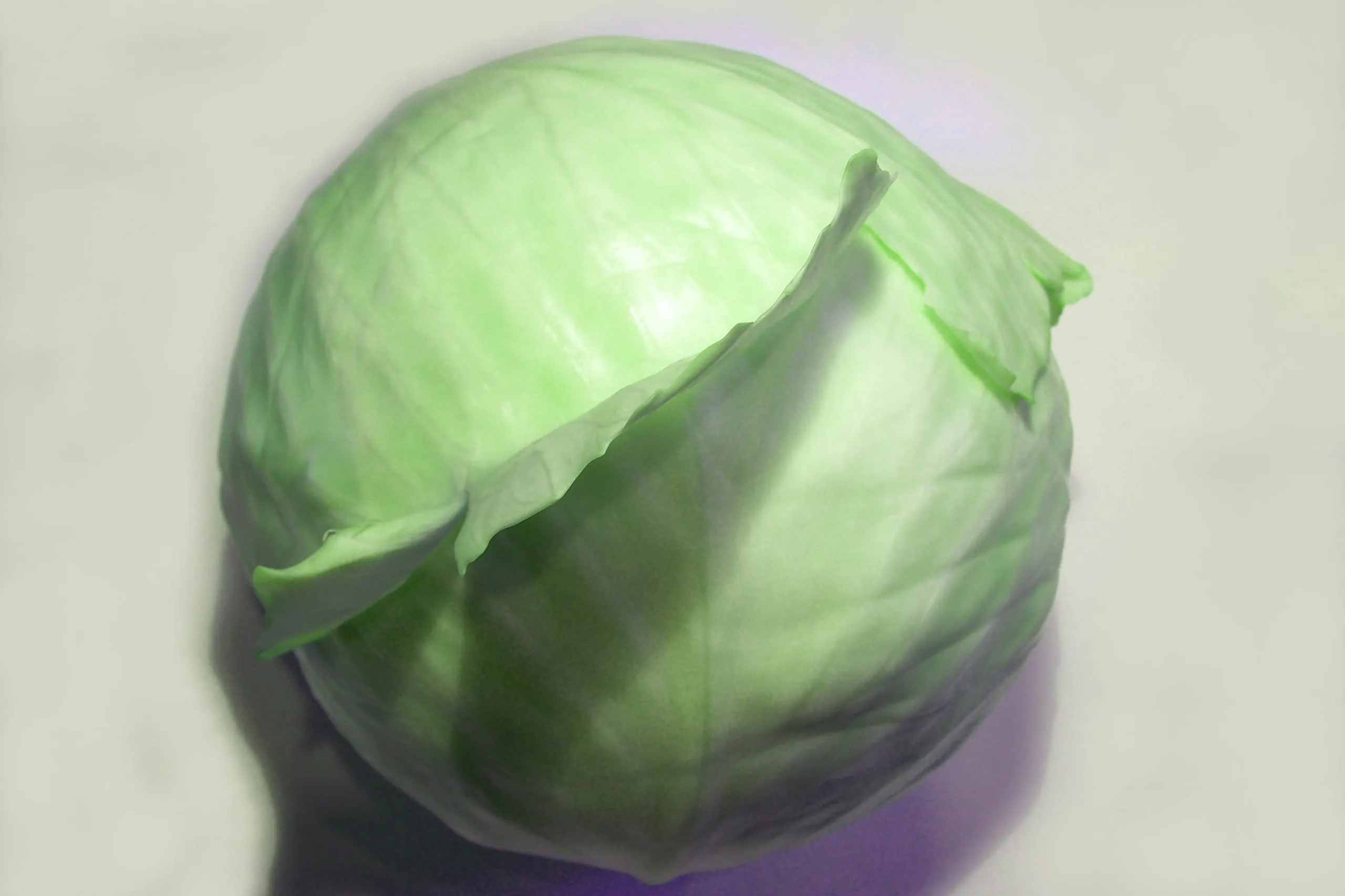 Coleslaw: Krautsalat nach amerikanischer Art