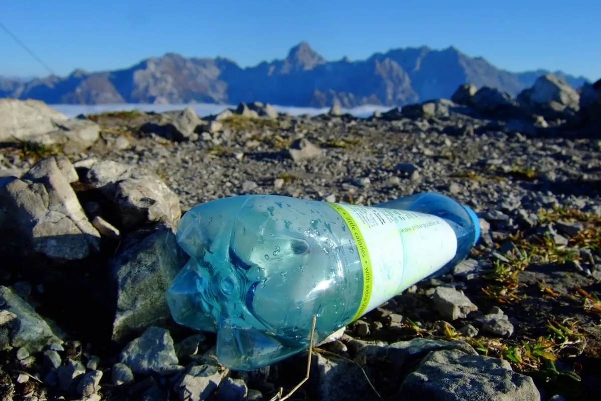 Wirkung von Mikroplastik in Lebensmitteln