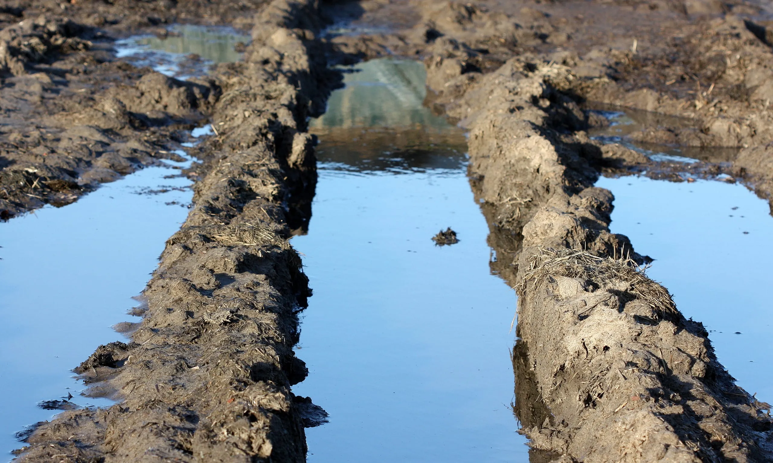 Weltweite Ernährung sichern