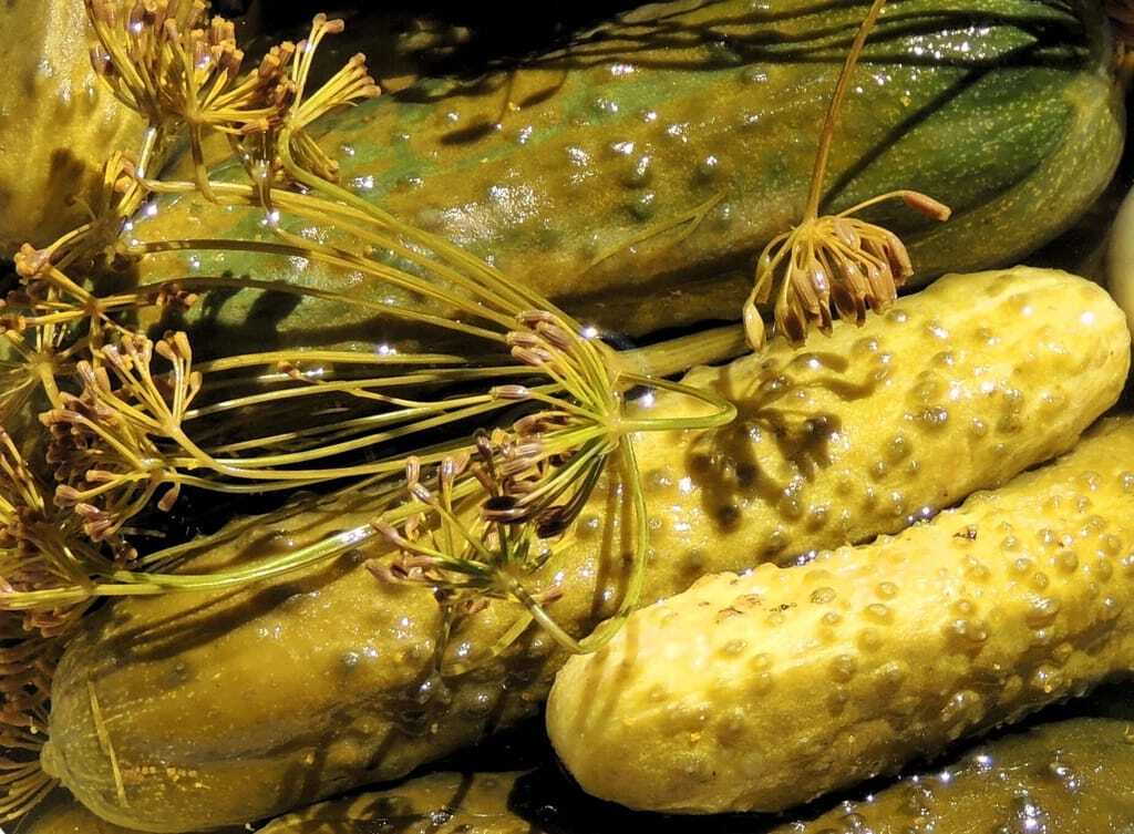 Essiggurken, saure Gurken und Senfgurken - Die Fleischerei