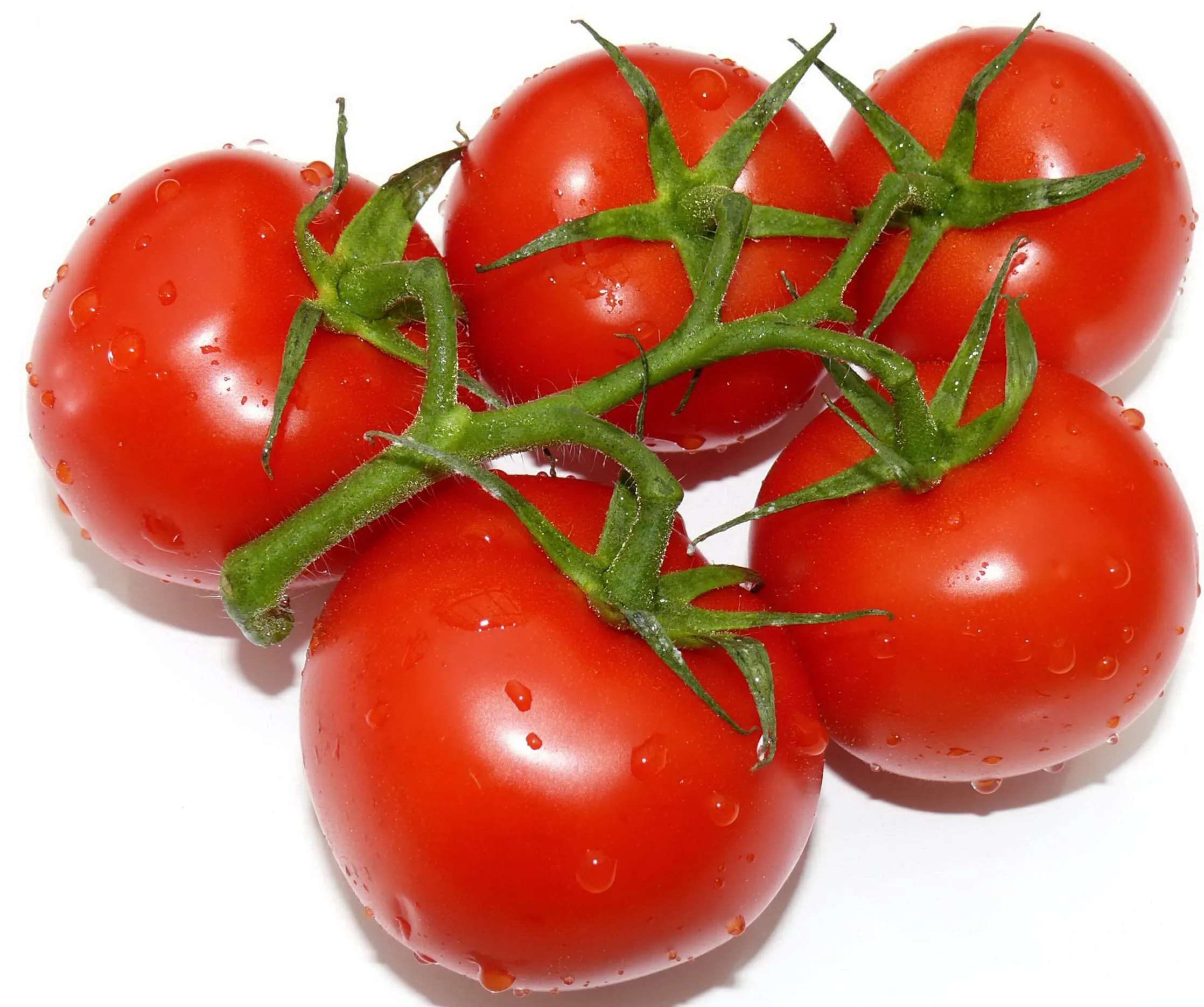 Tomaten – der Deutschen liebstes Gemüse