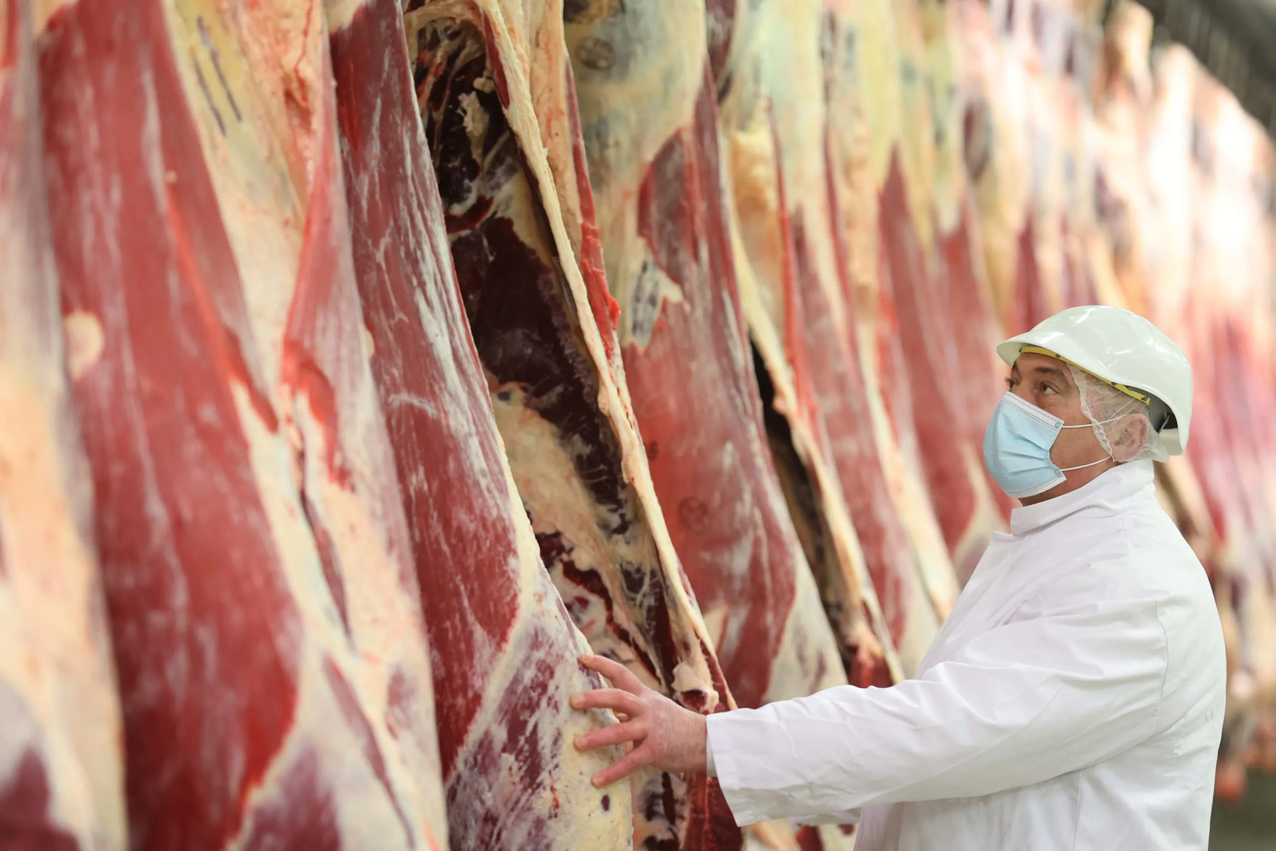 Vion und Danish Crown kooperieren in Norddeutschland