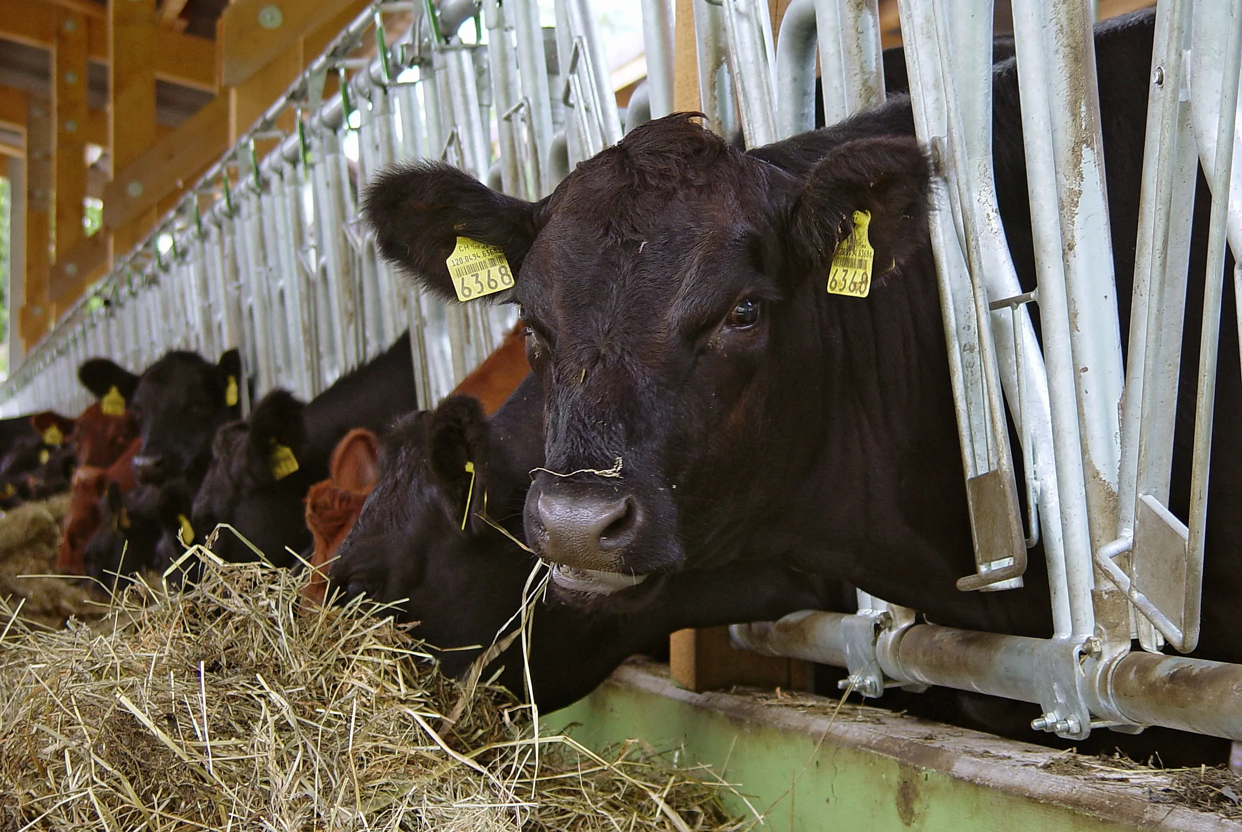 Agribusiness: Trübe Aussichten trotz Umsatzrekord
