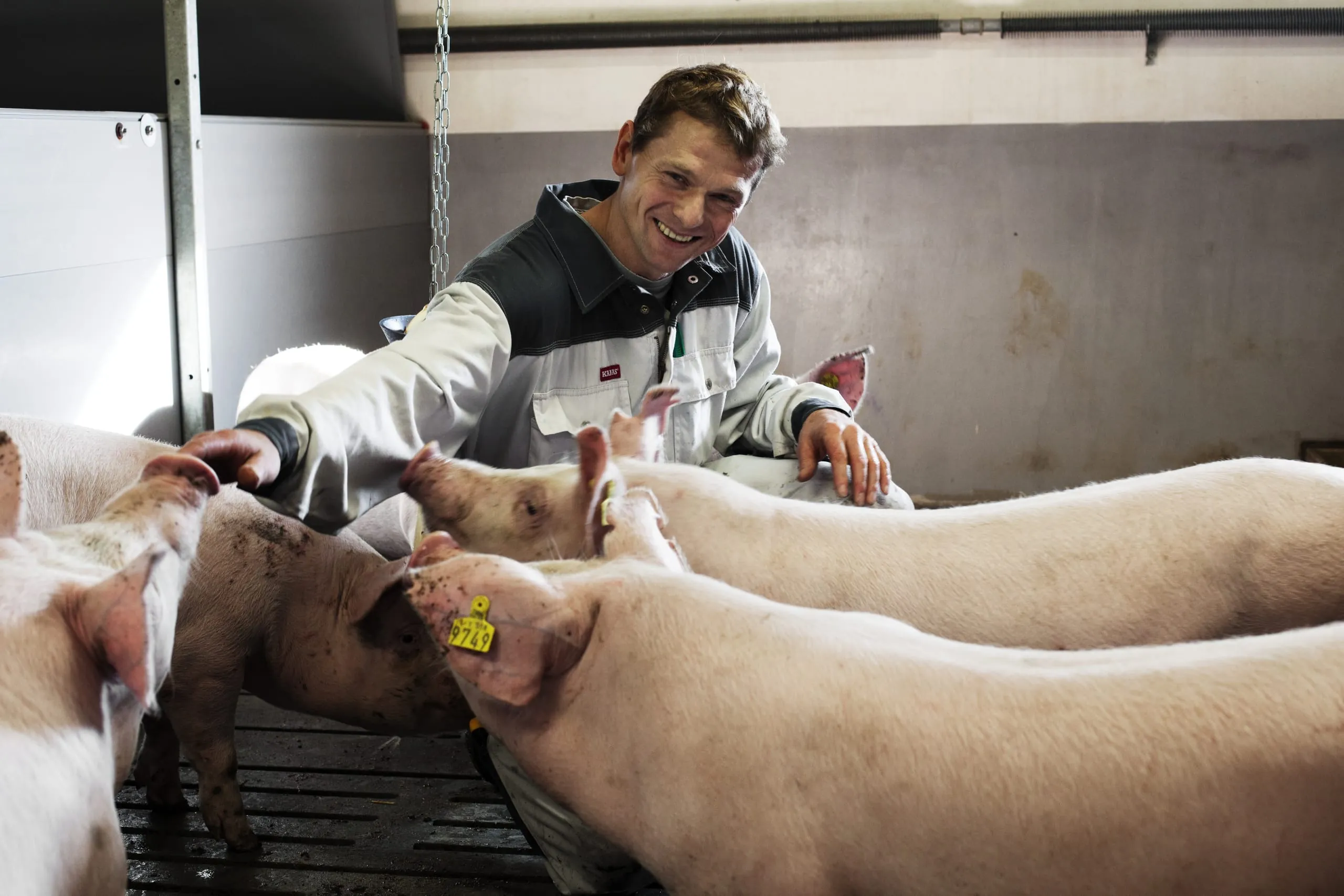 Erzeugerpreise landwirtschaftlicher Produkte gesunken
