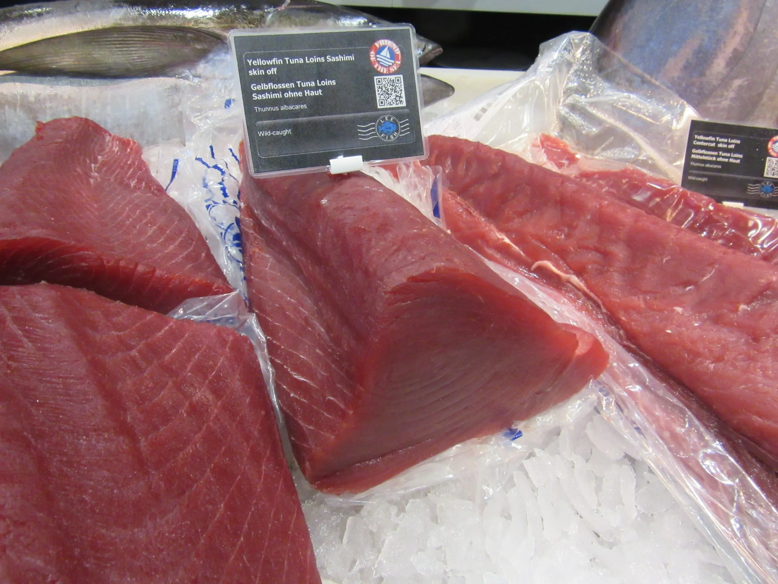 Fisch – Frische Fakten