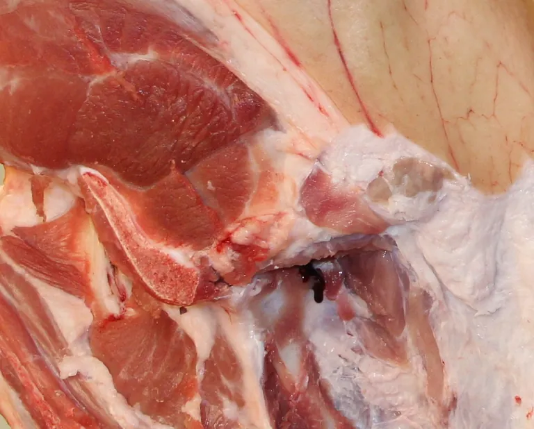 Gegen den Trend bei Nahrungsmitteln insgesamt (+ 2,1 %) sanken die Erzeugerpreise für Schweinefleisch im Oktober 2024 gegenüber dem Vorjahresmonat um 5,4 %.