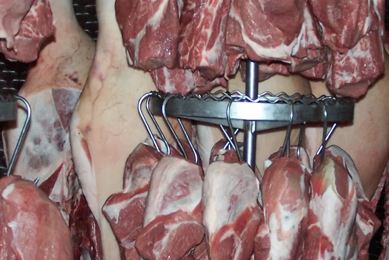 Im Gegensatz zu den gestiegenen Preisen f&uuml;r Rinder (+22,1 %) fielen die Erzeugerpreise f&uuml;r Schlachtschweine im Dezember 2024 gegen&uuml;ber dem Vorjahresmonat um 8,2 %.