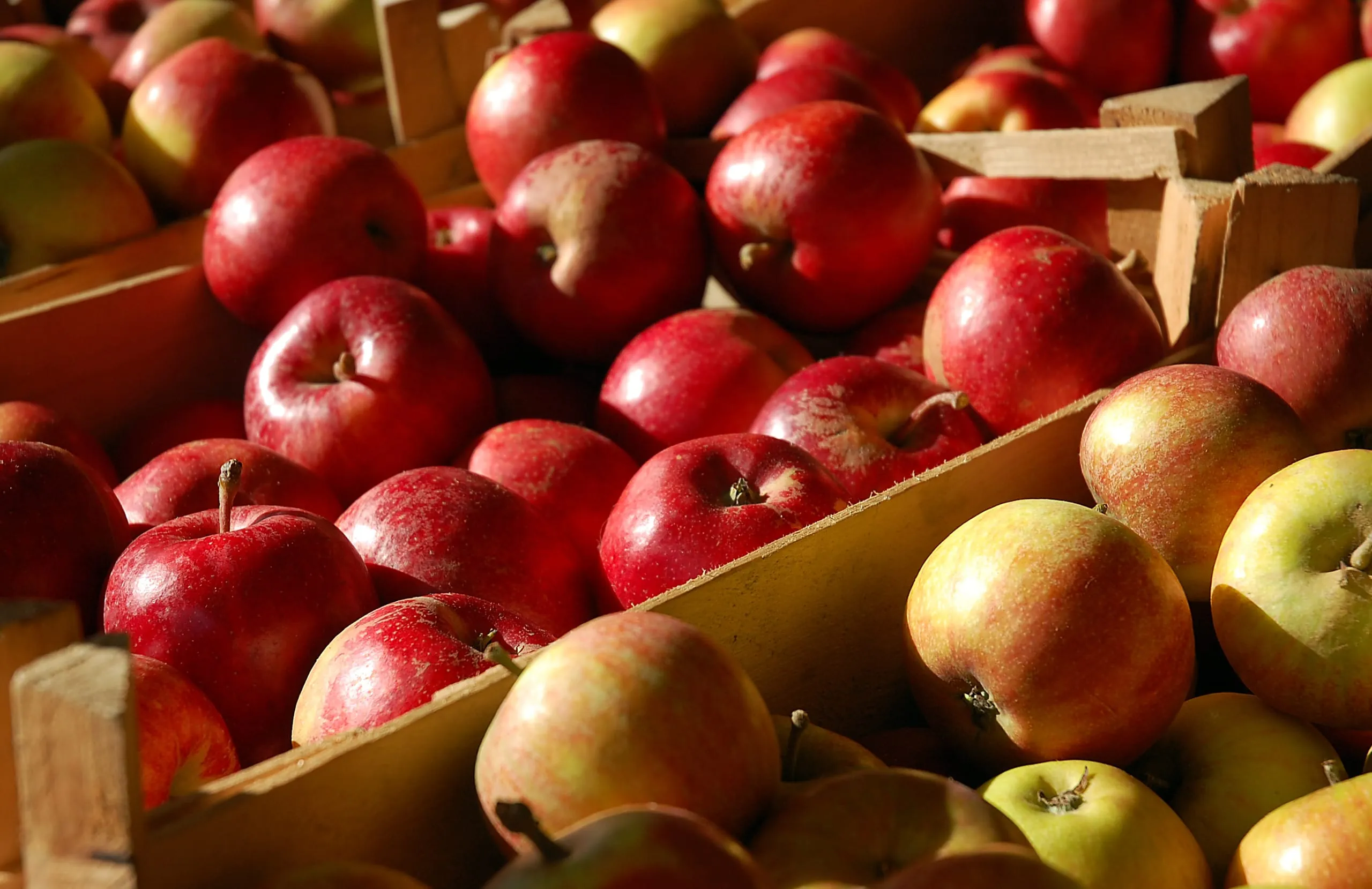 Umsatz mit Bio-Produkten gestiegen