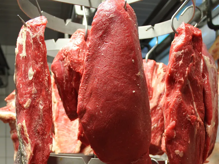 Deutlich teurer als im Vorjahresmonat war im M&auml;rz 2025 unter anderem Rindfleisch mit +26,4 %, w&auml;hrend die Erzeugerpreise f&uuml;r Schweinefleisch 15,0 % gestiegen sind.