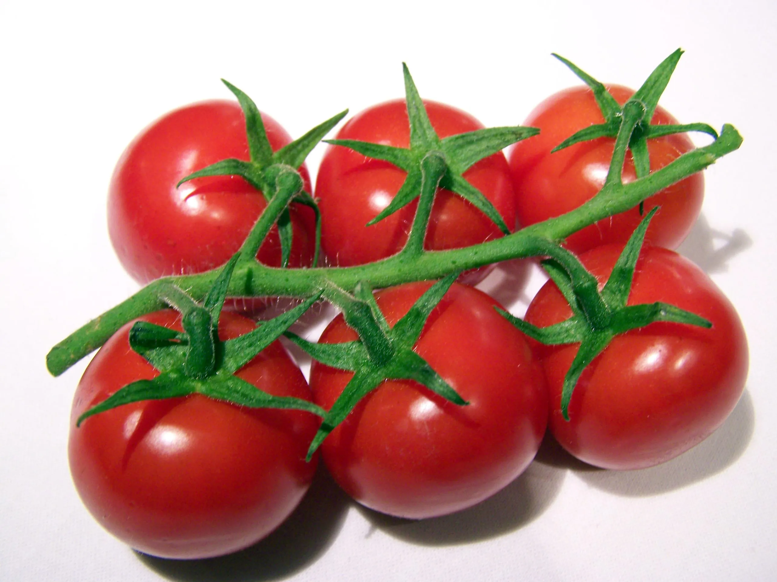 Heimische Tomaten genießen