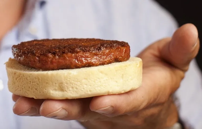 Bei zellkultiviertem Fleisch als Alternativprodukte handelt es sich um Zellen, die lebenden Tieren entnommen werden und sich in Bioreaktoren vermehren.