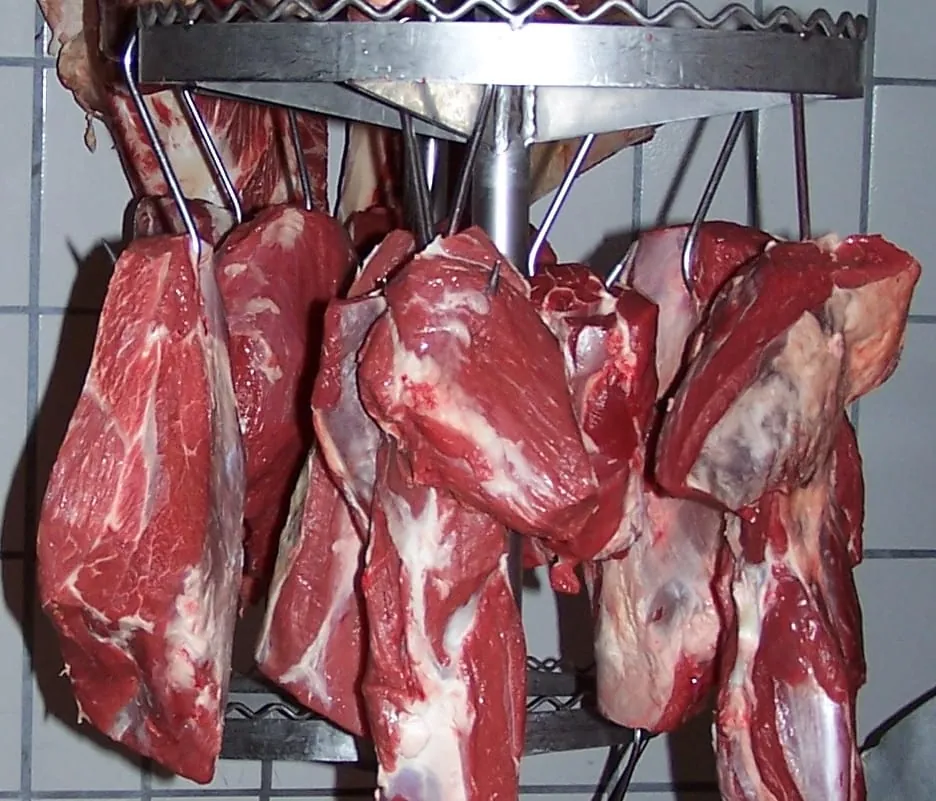 Erzeugerpreise bei Rindern um 42 Prozent gestiegen