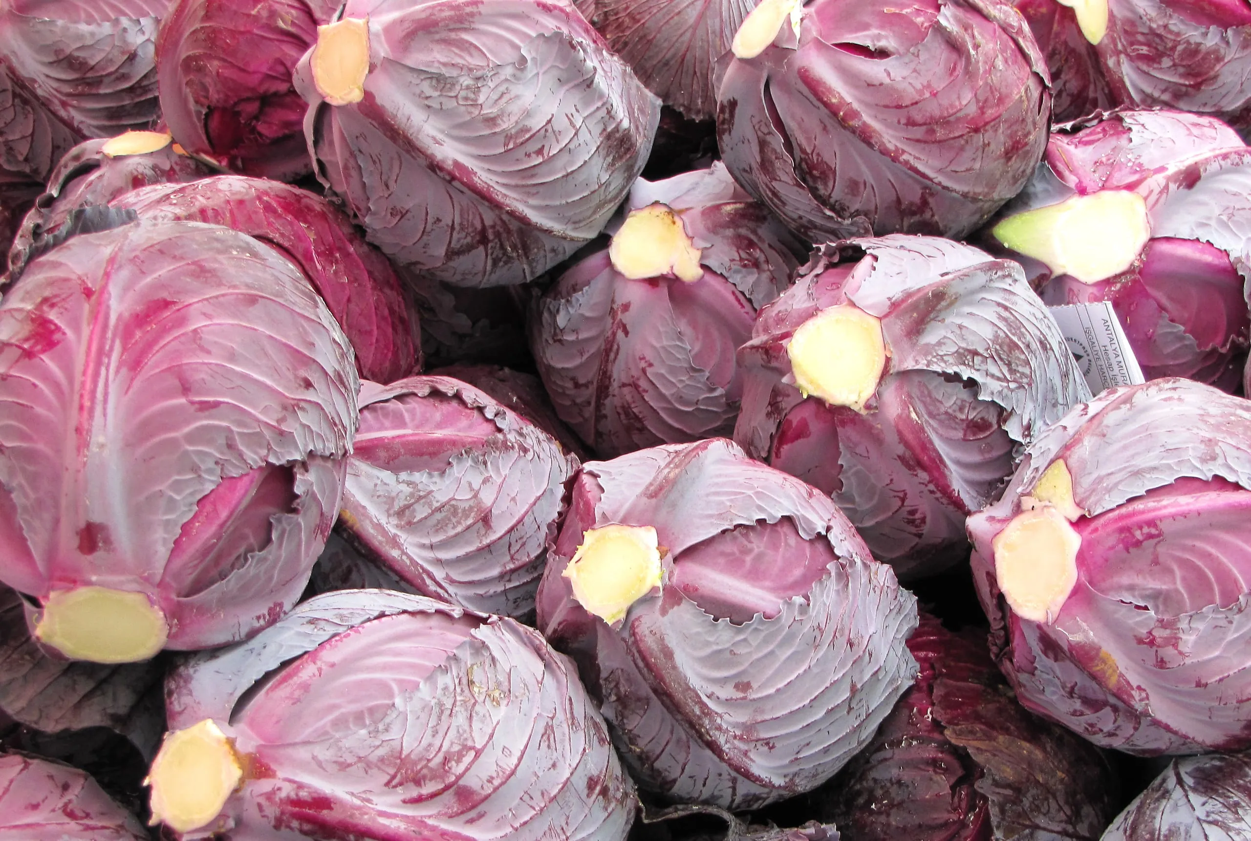 Rotkohl neu entdecken