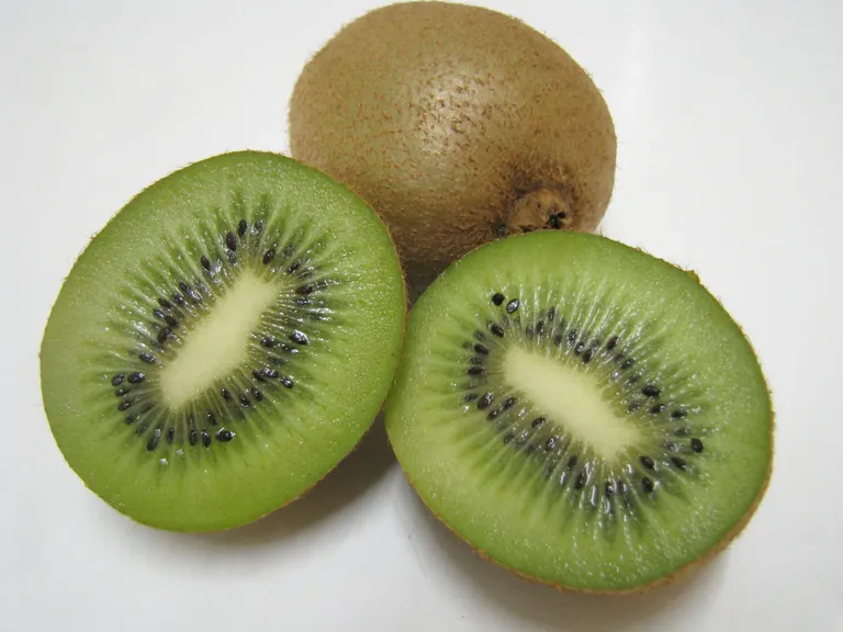 Die Kiwi liefert nur wenig Kalorien und ist bekannt f&uuml;r ihren hohen Vitamin-C-Gehalt. 