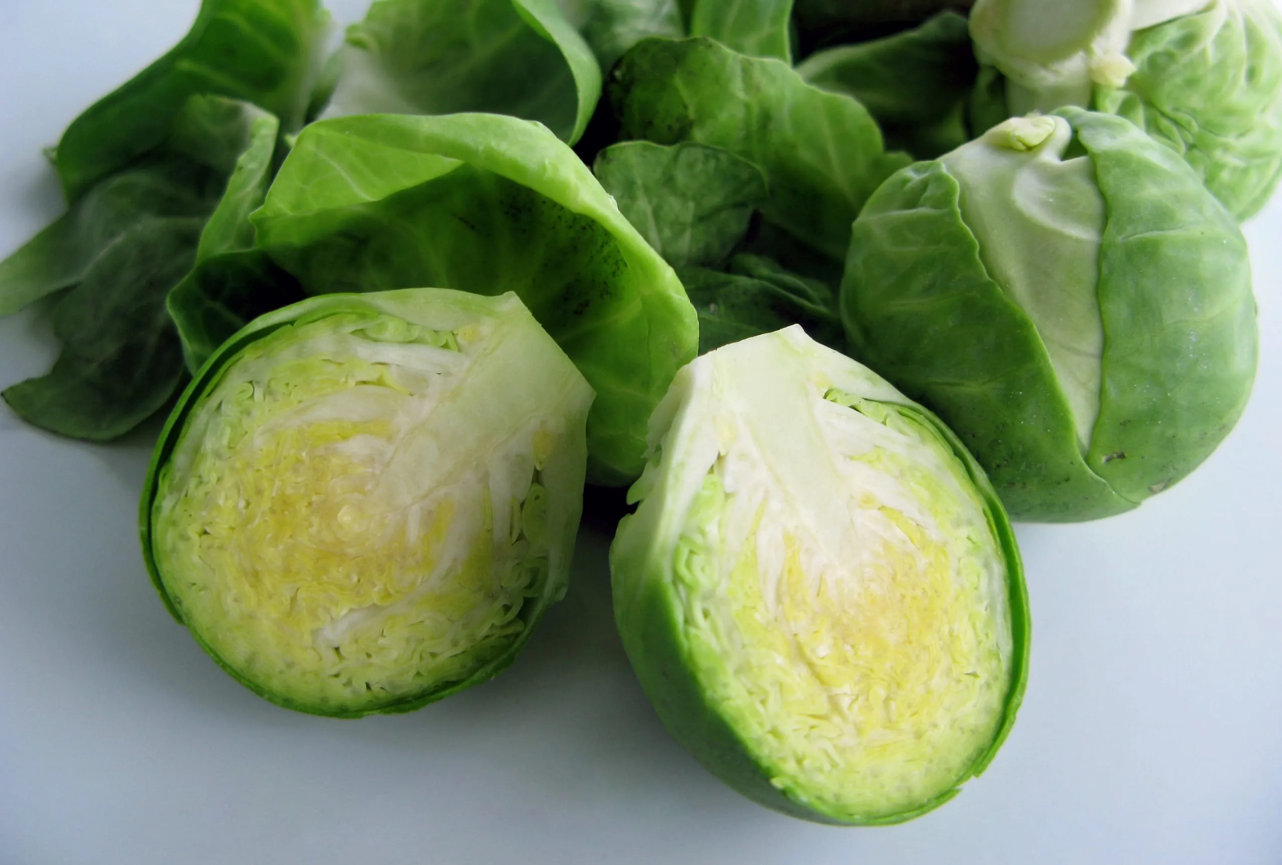 Rosenkohl – Edle Köpfchen mit viel Aroma