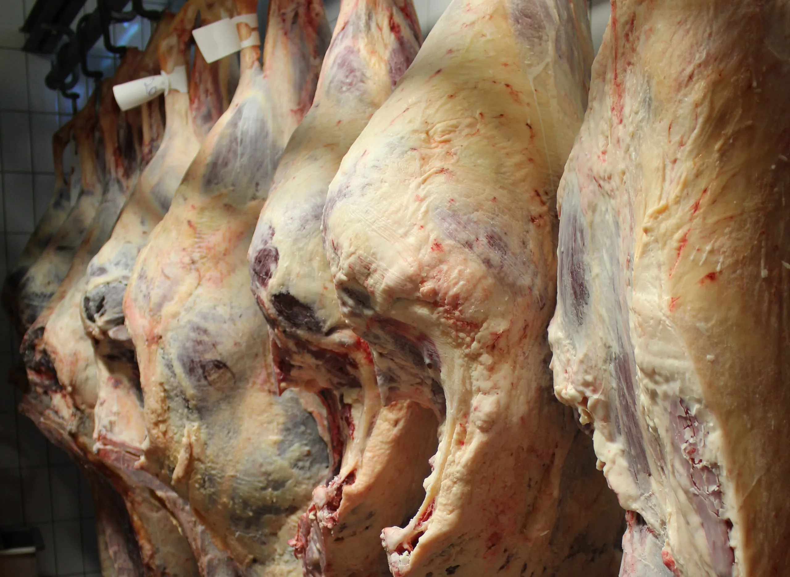 Umsatzplus im Agribusiness