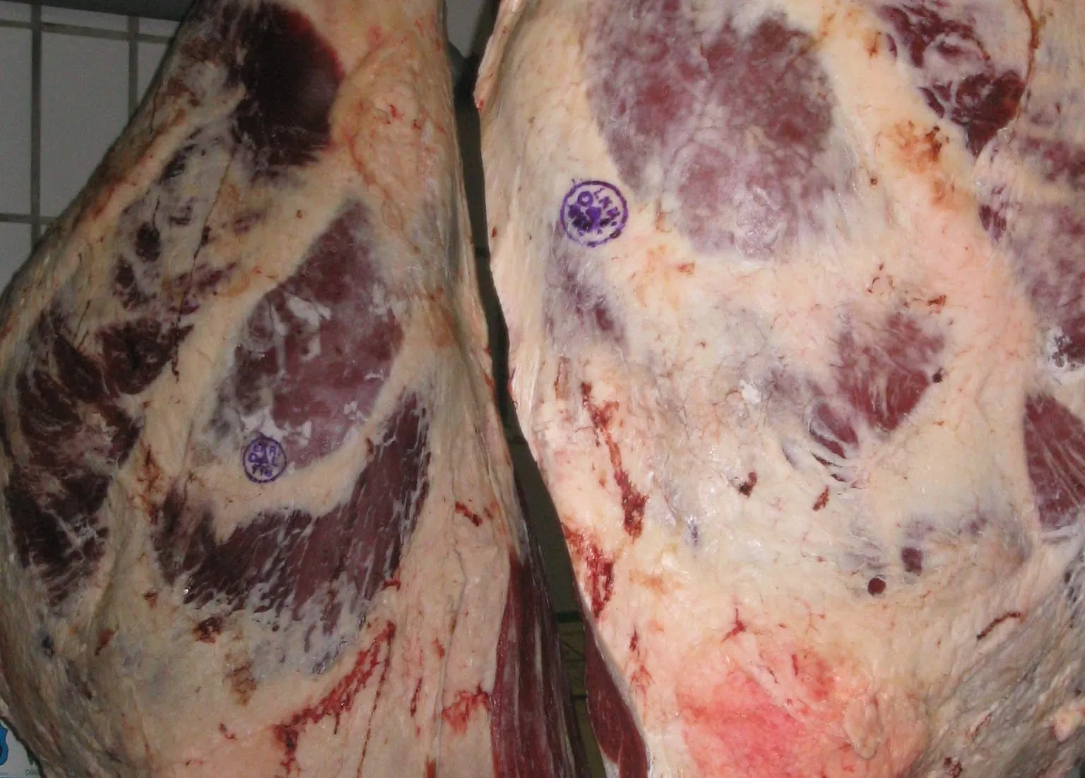 Erzeugerpreise von Rindfleisch stark gestiegen