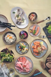 Lebensmittelkulturen tragen dazu bei, die Qualität und Sicherheit von verschiedenen Produkten zu verbessern. NovaTaste