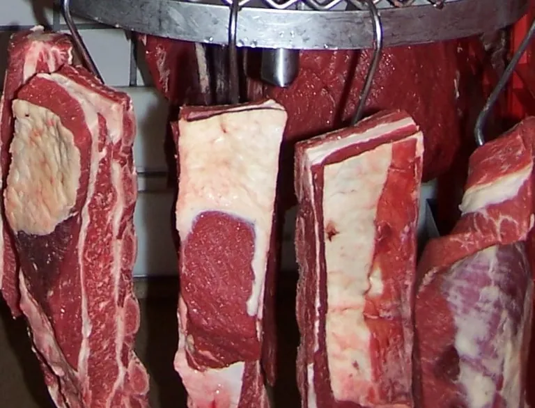 Maßgeblich für den Anstieg der Erzeugerpreise im Januar 2026 (+ 1,6 %) war der Preisanstieg bei Rindern um 26,5 %.