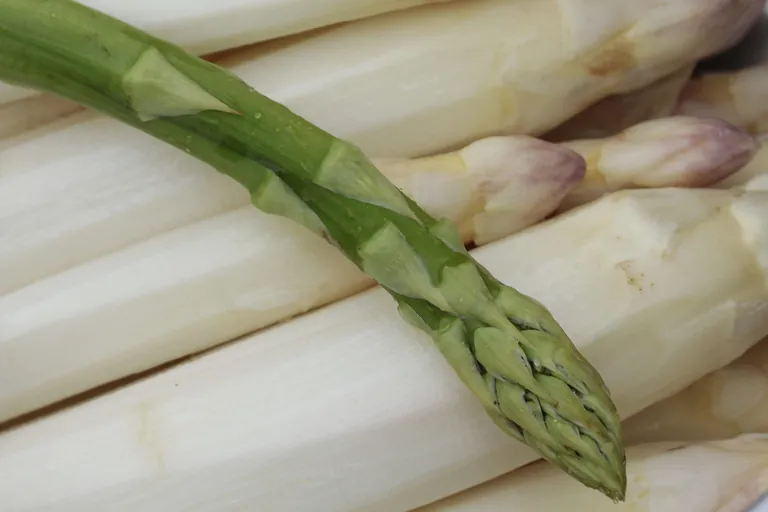 Ob kochen, d&uuml;nsten, d&auml;mpfen, braten, im Ofen backen oder sogar grillen &ndash; Spargel ist in der K&uuml;che vielf&auml;ltig einsetzbar.