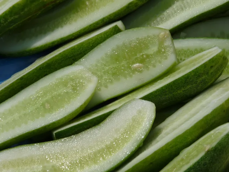 Gurken bestehen zu etwa 94 Prozent aus Wasser und liefern dennoch wertvolle Inhaltsstoffe wie Vitamine, Kalu und Eisen.