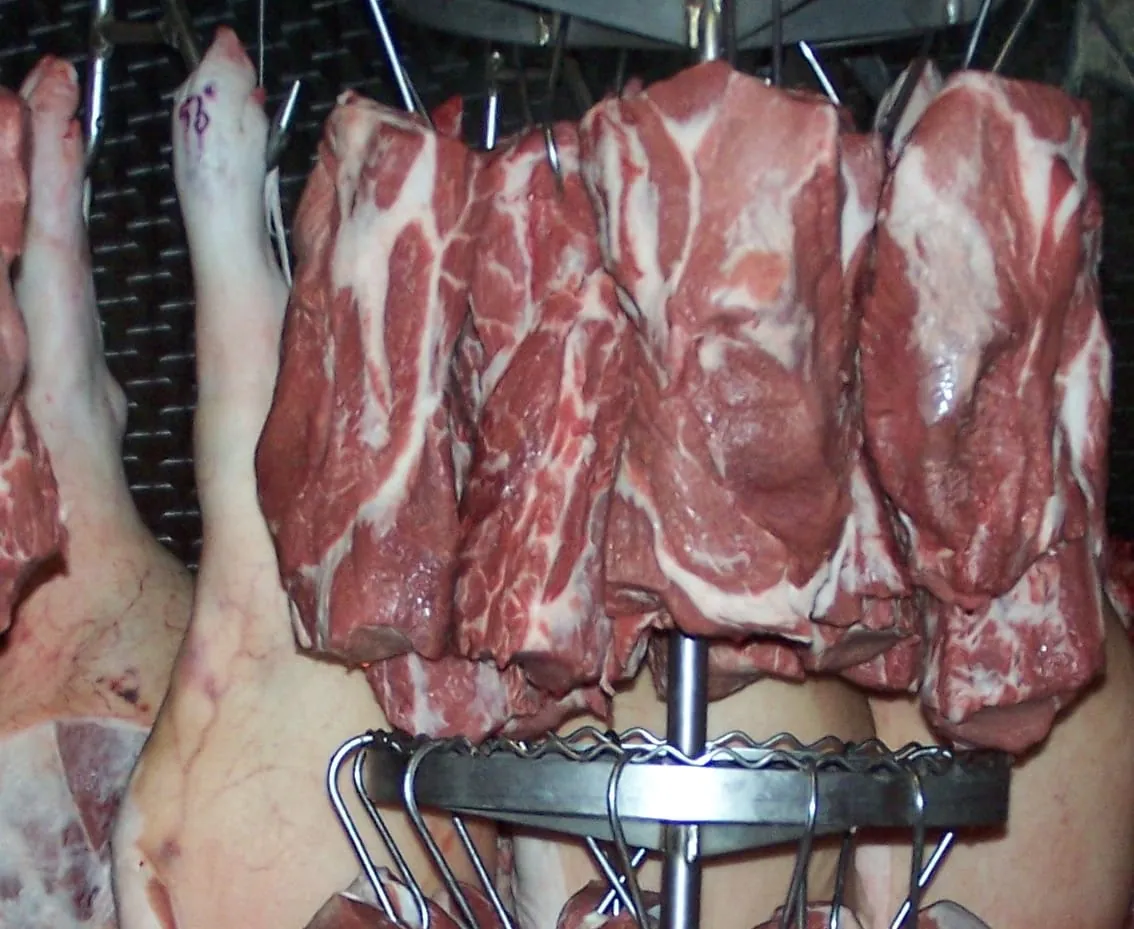 Erzeugerpreise für Schweinefleisch gesunken