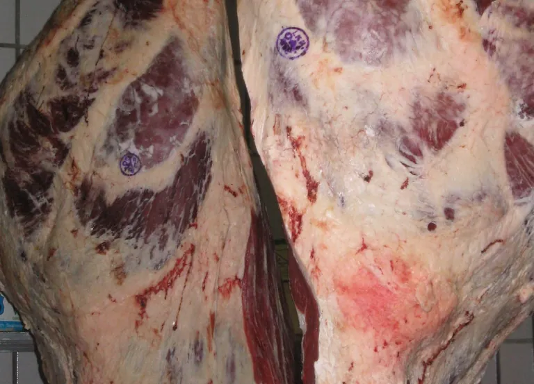 Die Erzeugerpreise bei Rindern stiegen im April 2026 gegenüber dem Vorjahresmonat um 4,2 %, während die Preise für Tiere insgesamt fielen.