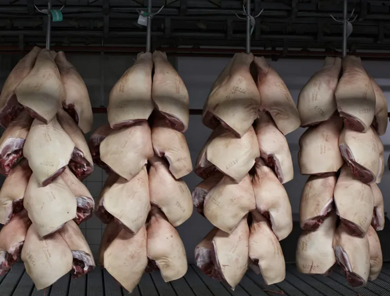 Deutlich niedriger als im Vorjahresmonat waren die Erzeugerpreise im Juli 2026 für Schweinefleisch und Rindfleisch.